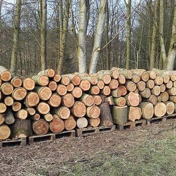 Logs ready to split for the biomass boiler