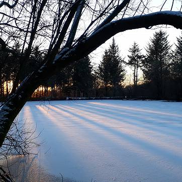 Winter sun on the frozen lake