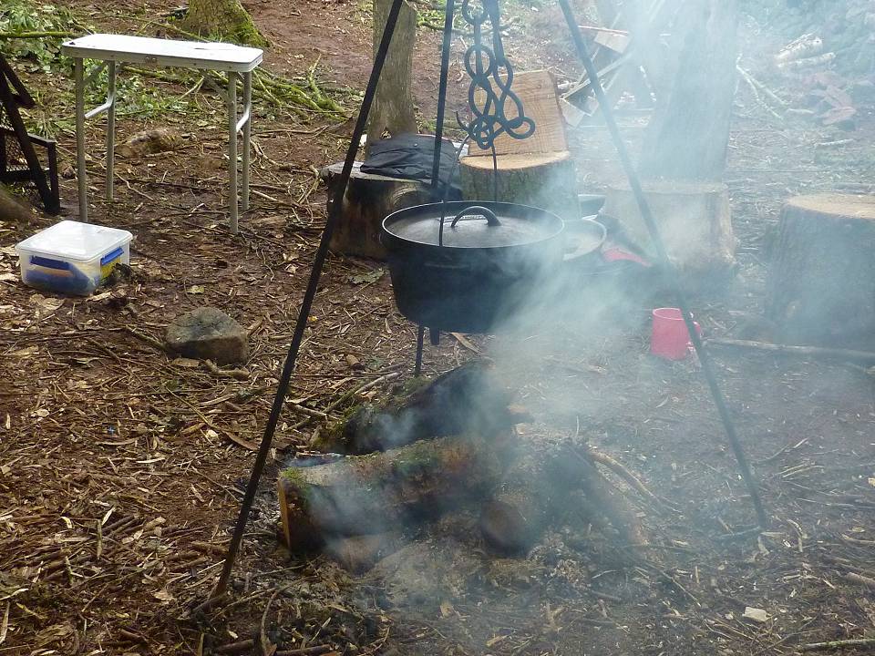 Campfire in the woods