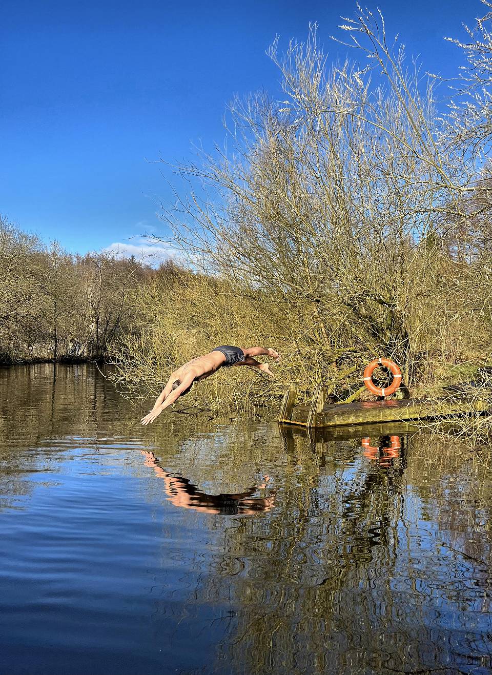 Diving into the pond