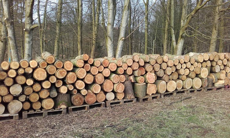 Logs ready to split for the biomass boiler