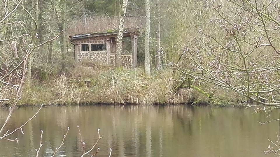 The sauna