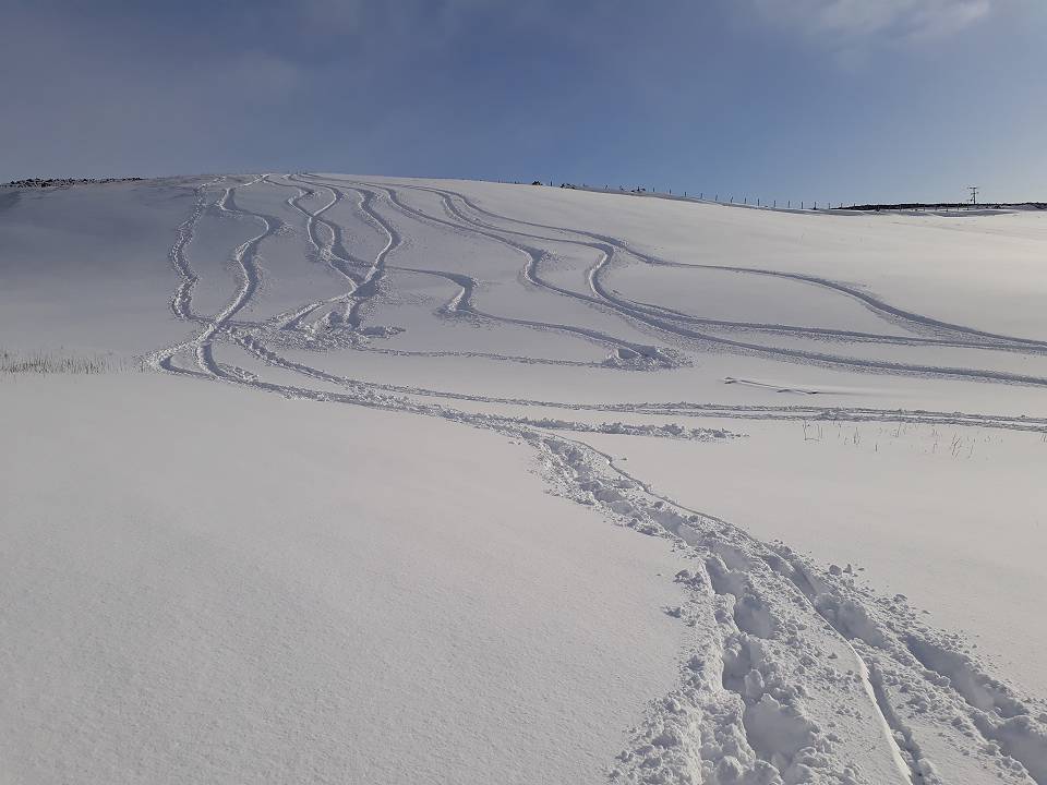 The tobogganing slope