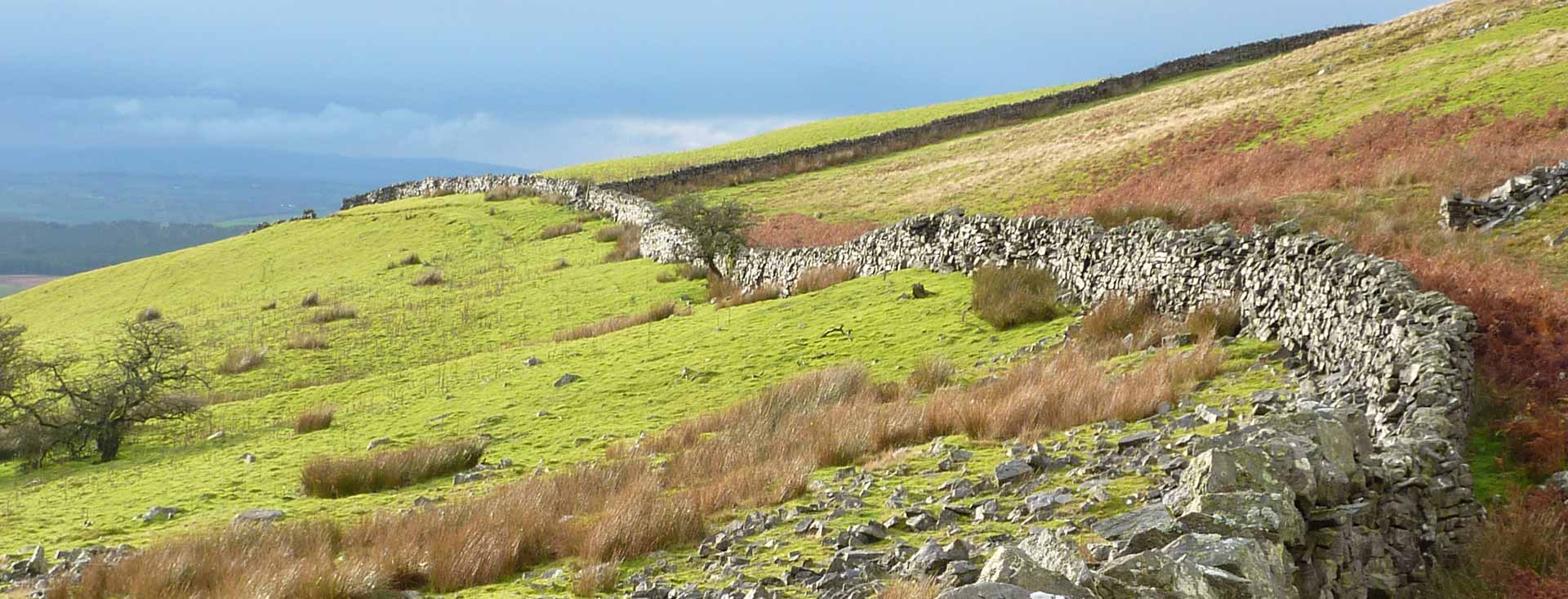 Croglin Fell