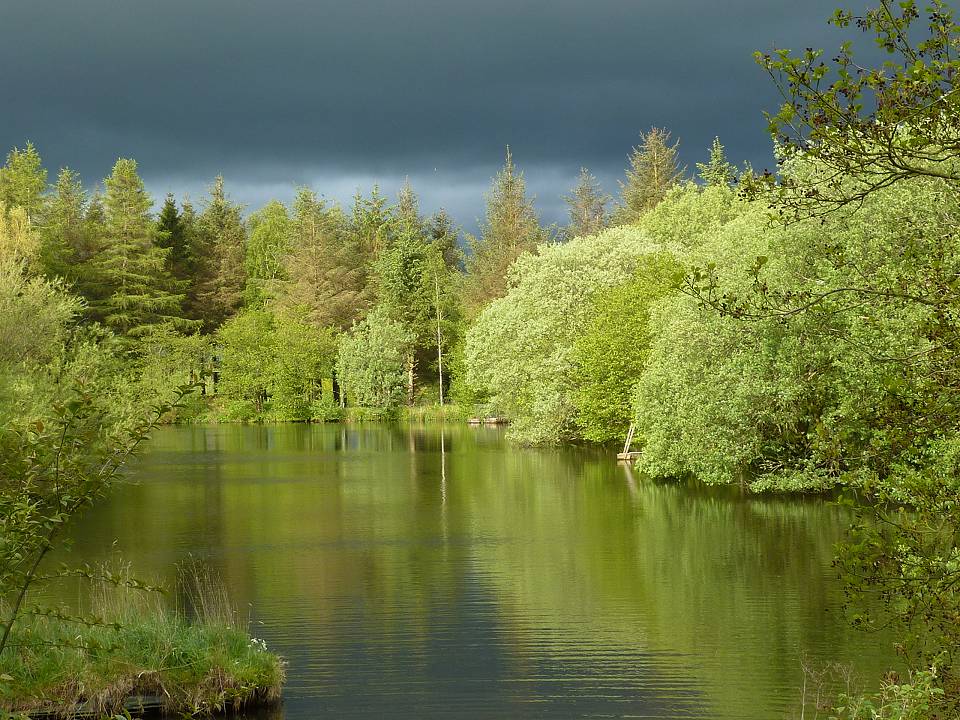 In the Spring with a storm brewing