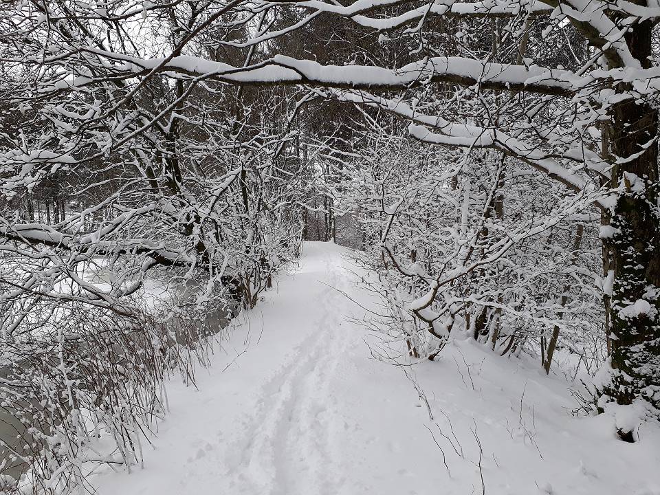 Or in the snow