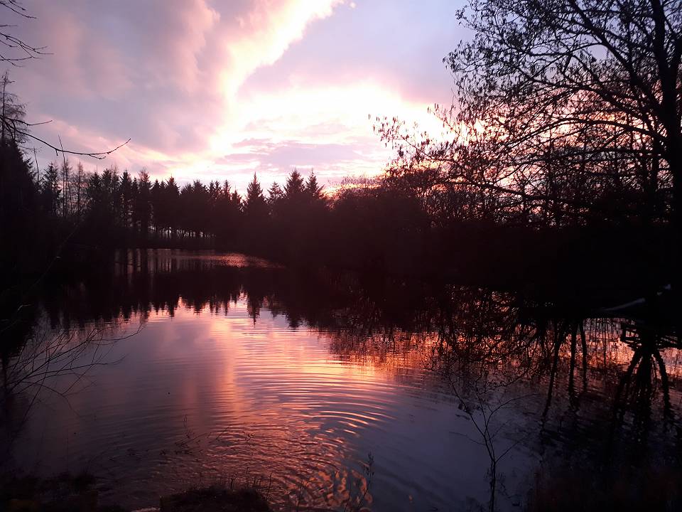 Sunset over the lake