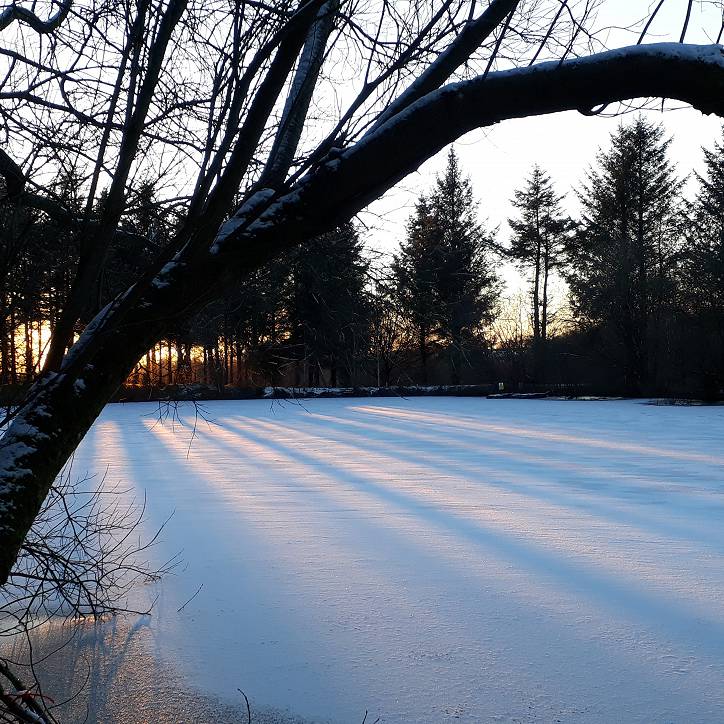 Winter sun on the frozen lake